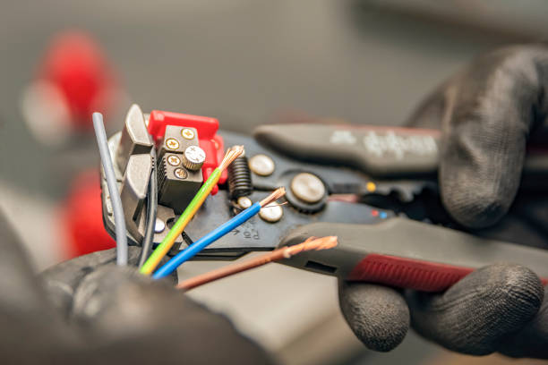 Best Ceiling Fan Installation Electrician  in Genoa, IL