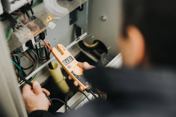 Best Generator Installation Services  in Genoa, IL