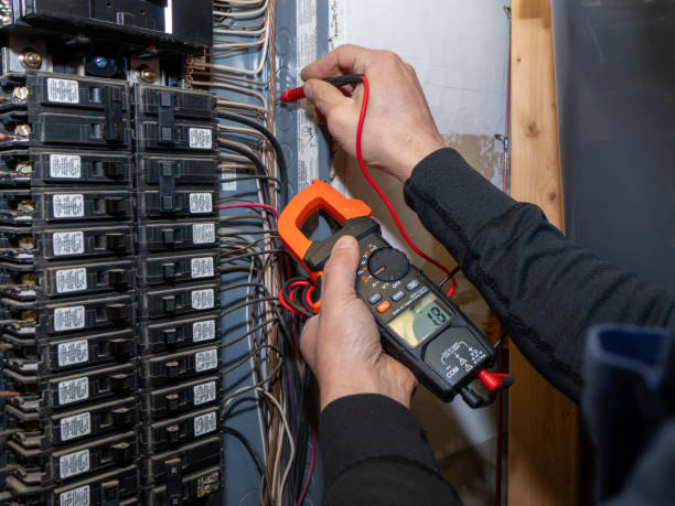 Best Electrical System Inspection  in Genoa, IL