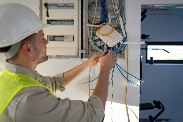 Best Electrician for Home Renovation  in Genoa, IL